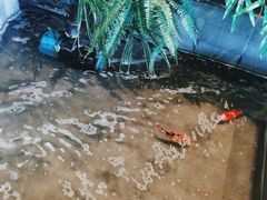 -湘邻呷铺·田园家宴(汉基广场店)