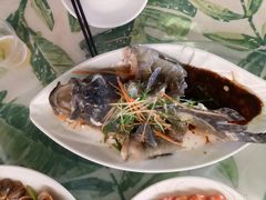 清蒸龙胆石斑鱼-四姑娘川味海鲜(八爪鱼店)