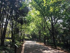 -昆明植物园