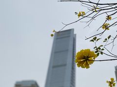 -深圳人才公园