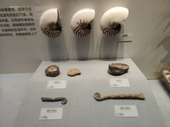 -湖南省地质博物馆