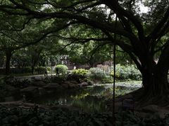 -晓港公园