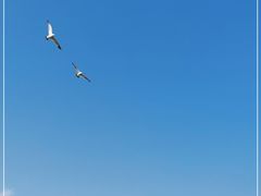 -海驴岛(荣成市)