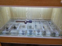-灵龟之家百象馆(百象馆联合旗舰店)