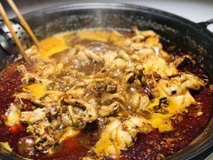 牛蛙火锅-老天桥蛙炉火锅(姑苏总店)