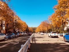 -吉林大学(前卫南区)