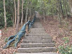 -梧桐山风景名胜区