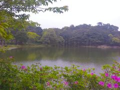 -广州市石门国家森林公园