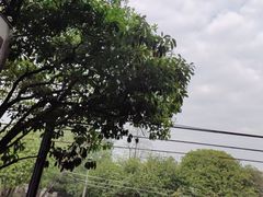 -故乡缘·香格里拉山庄(冷竹路店)