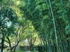 -乌镇景区