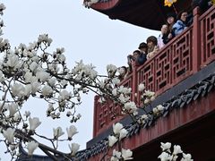 -堤角公园