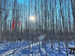 -北极村旅游风景区