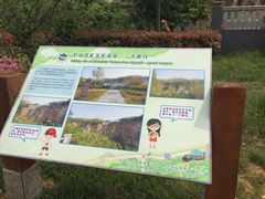 -冶山国家矿山公园