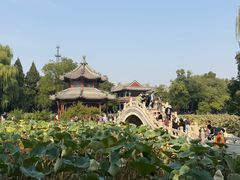 -莲池书院博物馆