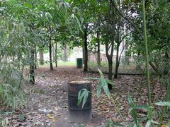 -滨江森林公园-真人CS野战场