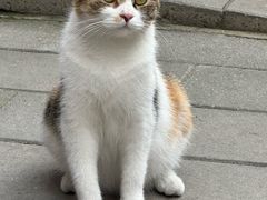 -白云观