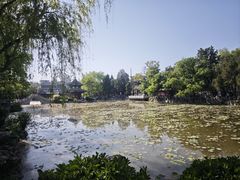 -莲池书院博物馆