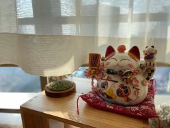 -JNK皮肤管理中心