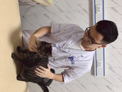 -宠颐生贝利健动物医院(谢家湾分院)
