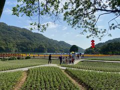 -广州市石门国家森林公园