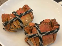 -沈阳皇朝万鑫酒店