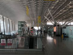 -郑州新郑国际机场-T2航站楼