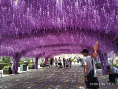 -徐州乐园加勒比水世界