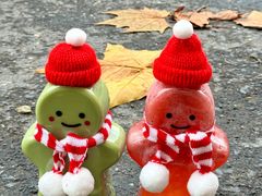 -新时沏奶茶·炸鸡(河山夜市店)