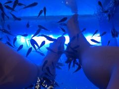 -汤连得温泉馆(宝山店)