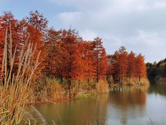 -梁鸿国家湿地公园