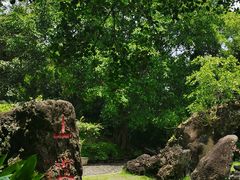 -海口火山口国家地质公园