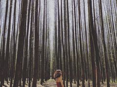 -山王坪喀斯特国家生态公园