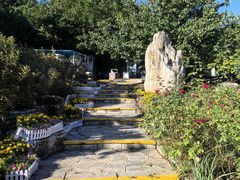 -北京西山国家森林公园