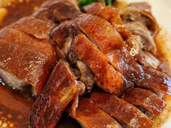 -港升鱼师傅·中山脆肉鲩