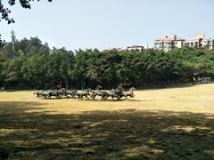 -广州雕塑公园