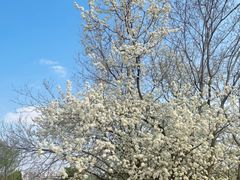 -盘龙城国家考古遗址公园