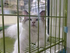 -三旗百汇商品城