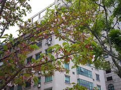 -董家渡渡口售票处