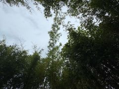 -佛冈森波拉度假区