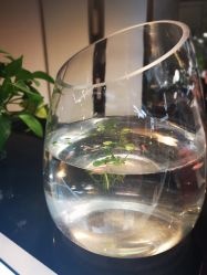 点击看大图 -PIONEER·韩式