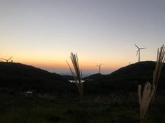 -东白山
