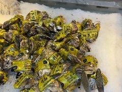 -圣罗巴海鲜烤肉自助(佳兆业店)