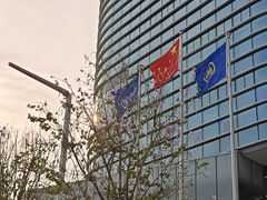 -招商蛇口邮轮母港(观光客运)