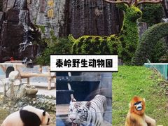 -白鹿原·白鹿仓