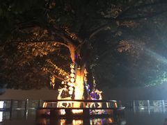 -南山老地方泉水鸡(南山店)