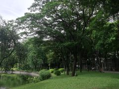 -晓港公园