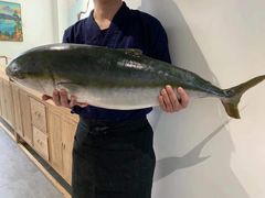 -一本钓鲔鱼屋