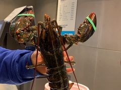 -盒马鲜生(大成店)