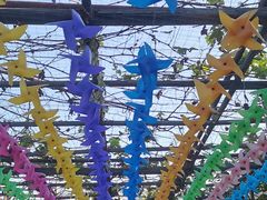 -亲兄弟真人CS团建拓展基地