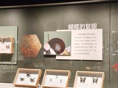 -四川宋瓷博物馆